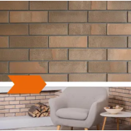 Płytki elewacyjne Brickoflex: OCARIS