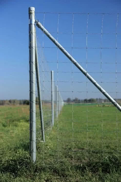 Tymczasowo można ustawić ogrodzenie z siatki leśnej, które jest łatwe w demontażu Tymczasowo można ustawić ogrodzenie z siatki leśnej, które jest łatwe w demontażu