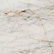 Wodoodporna płyta ścienna Marble Gold R154